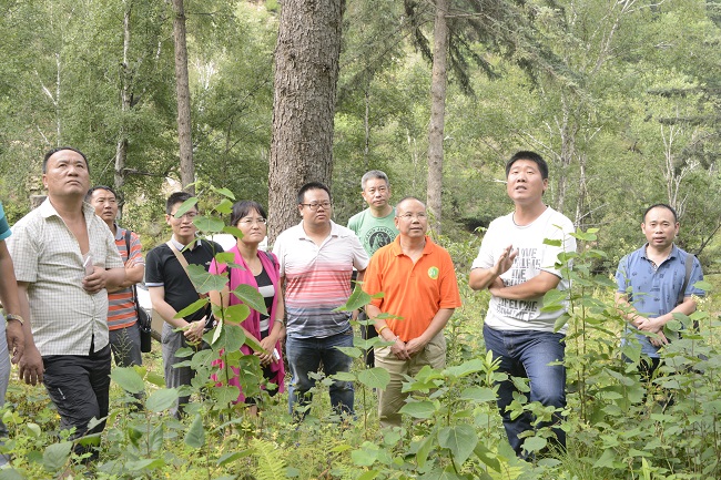 �ӱ�ʡľ��Χ�������ֳ�������Ӫ�ֿƿƳ��Ŷ�������������ɭ�־�Ӫ���